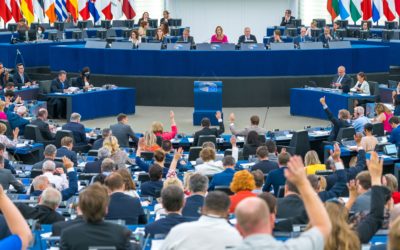 #NotMyTaxonomy, Europäischer Pflege Deal – was wir diese Woche im EU-Parlament beschlossen haben