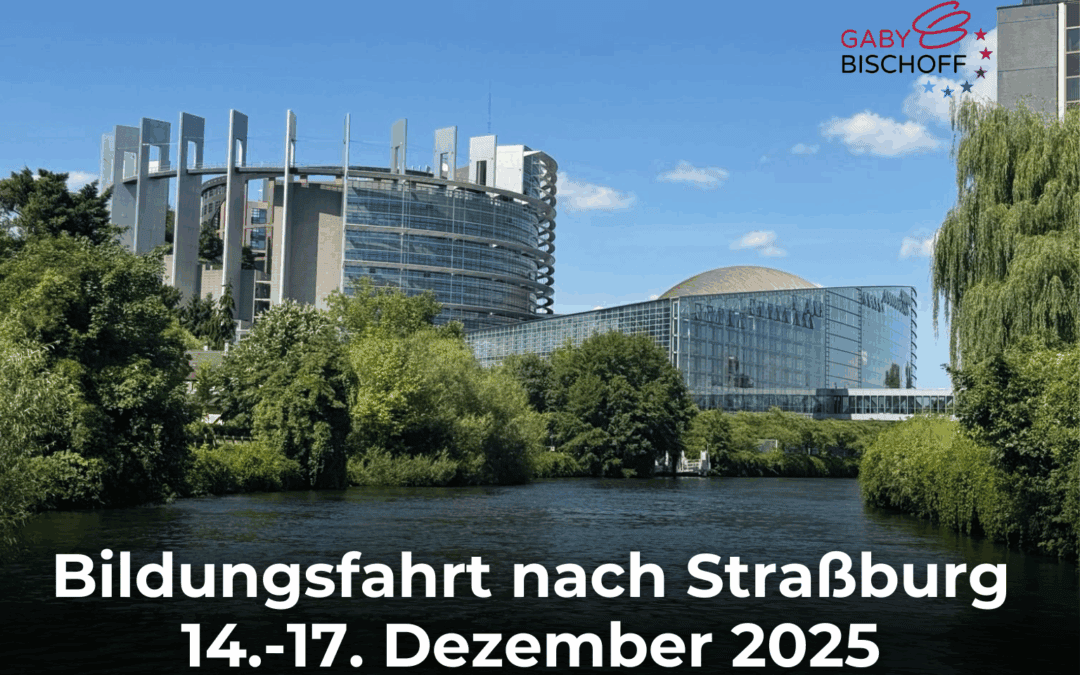 Besucht mich im EU-Parlament in Straßburg!