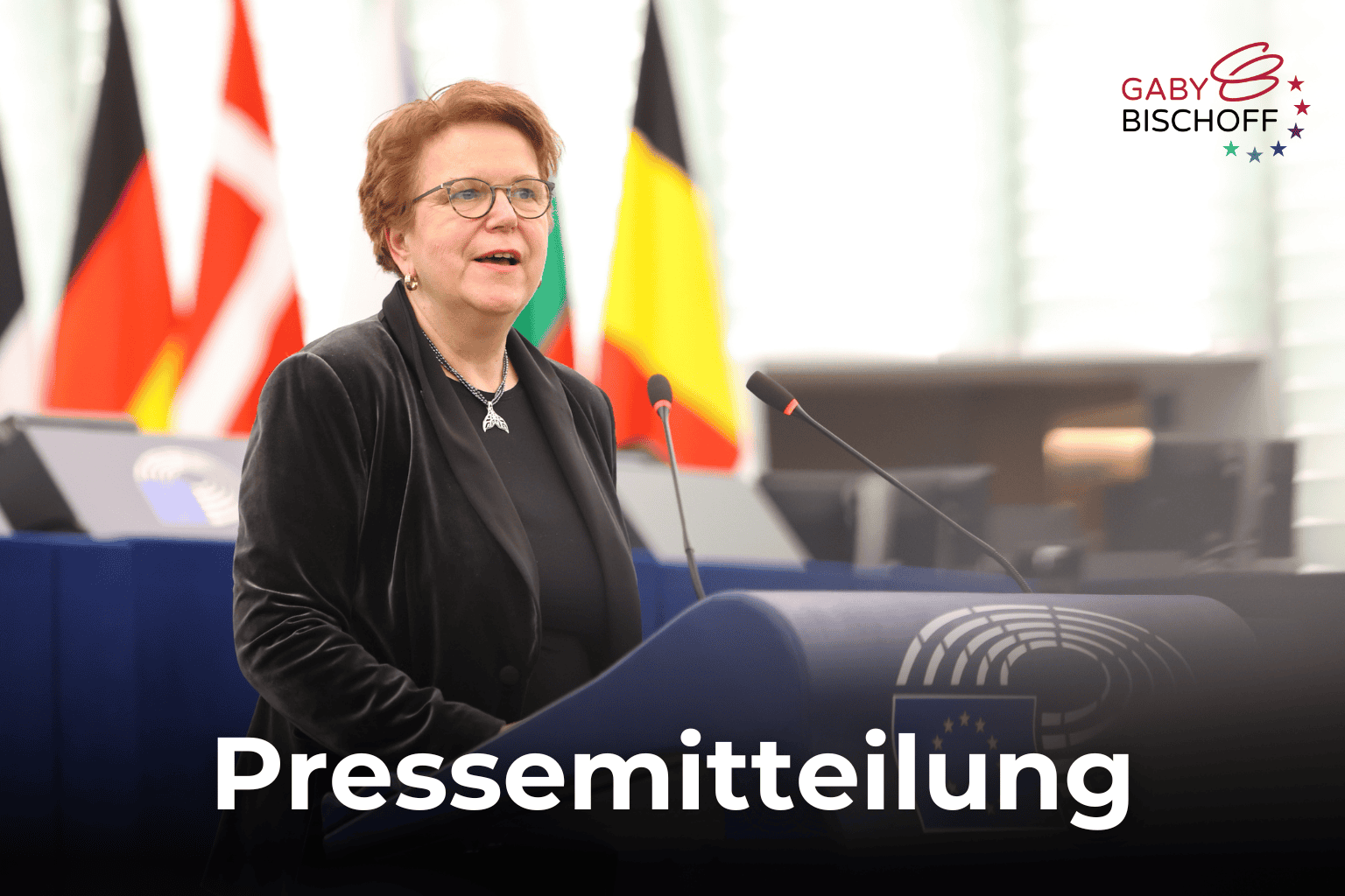 Vorlage Banner für die Website (6)